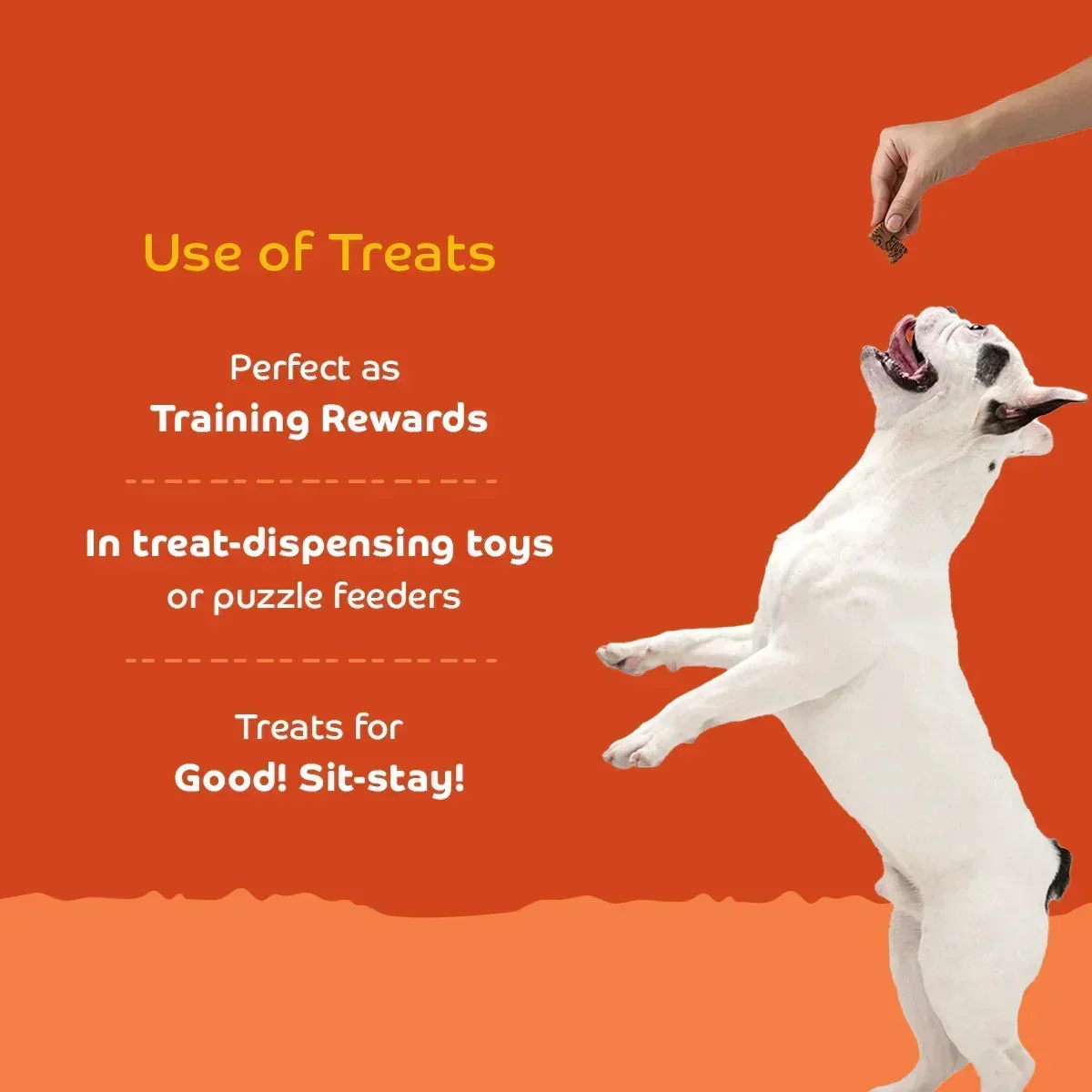 Applod Chicken Liver Dog Biscuit With Quinoa  - Image 4