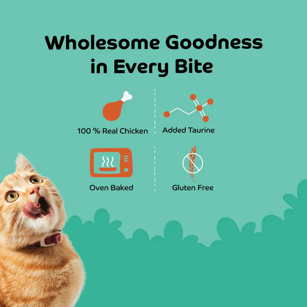 Applod Chicken Shreds Soft Cat Treat - 35g - Image 3