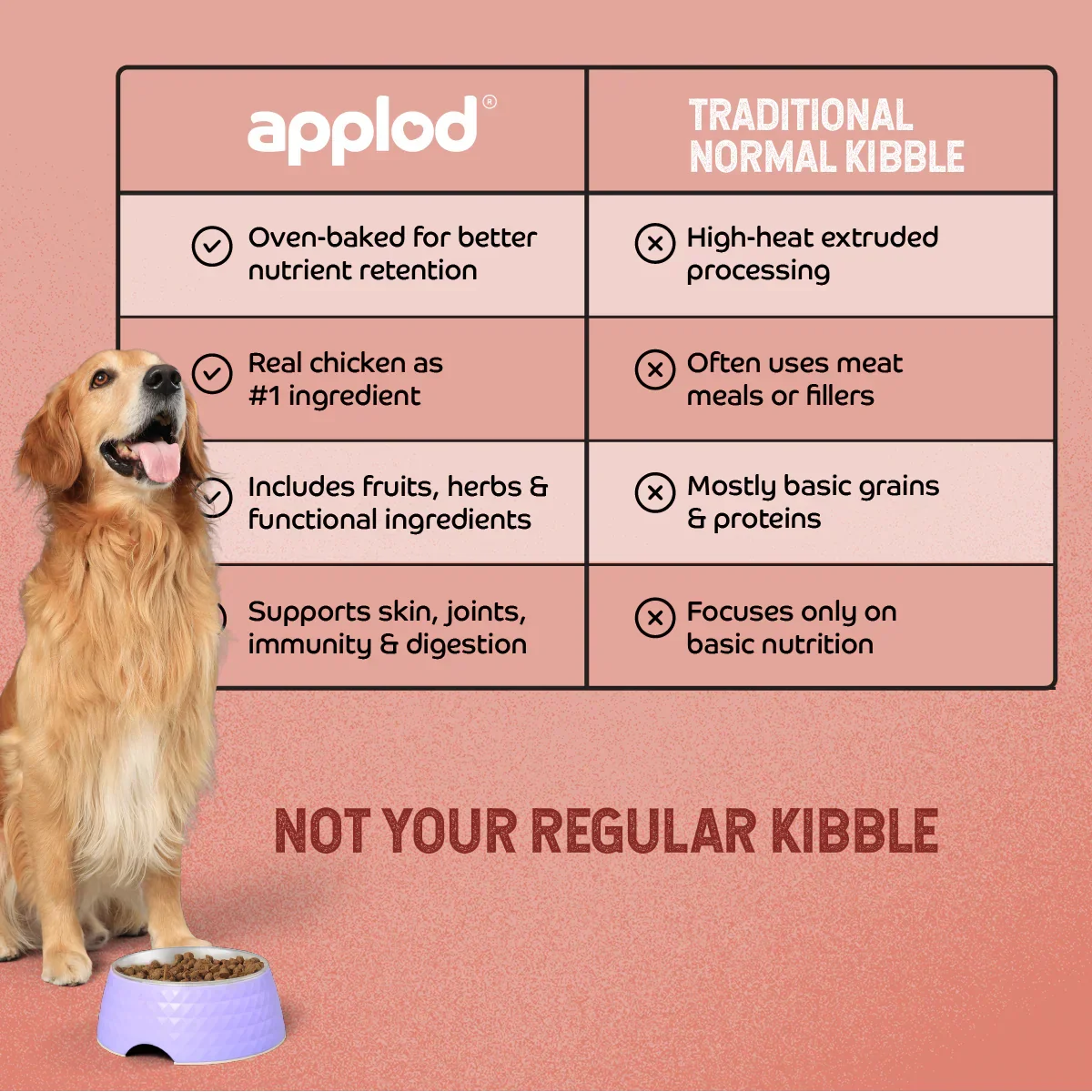 Applod Chicken & Vegetables with Apple & Pomegranate Dry Dog Food for Adult Dogs - Image 5