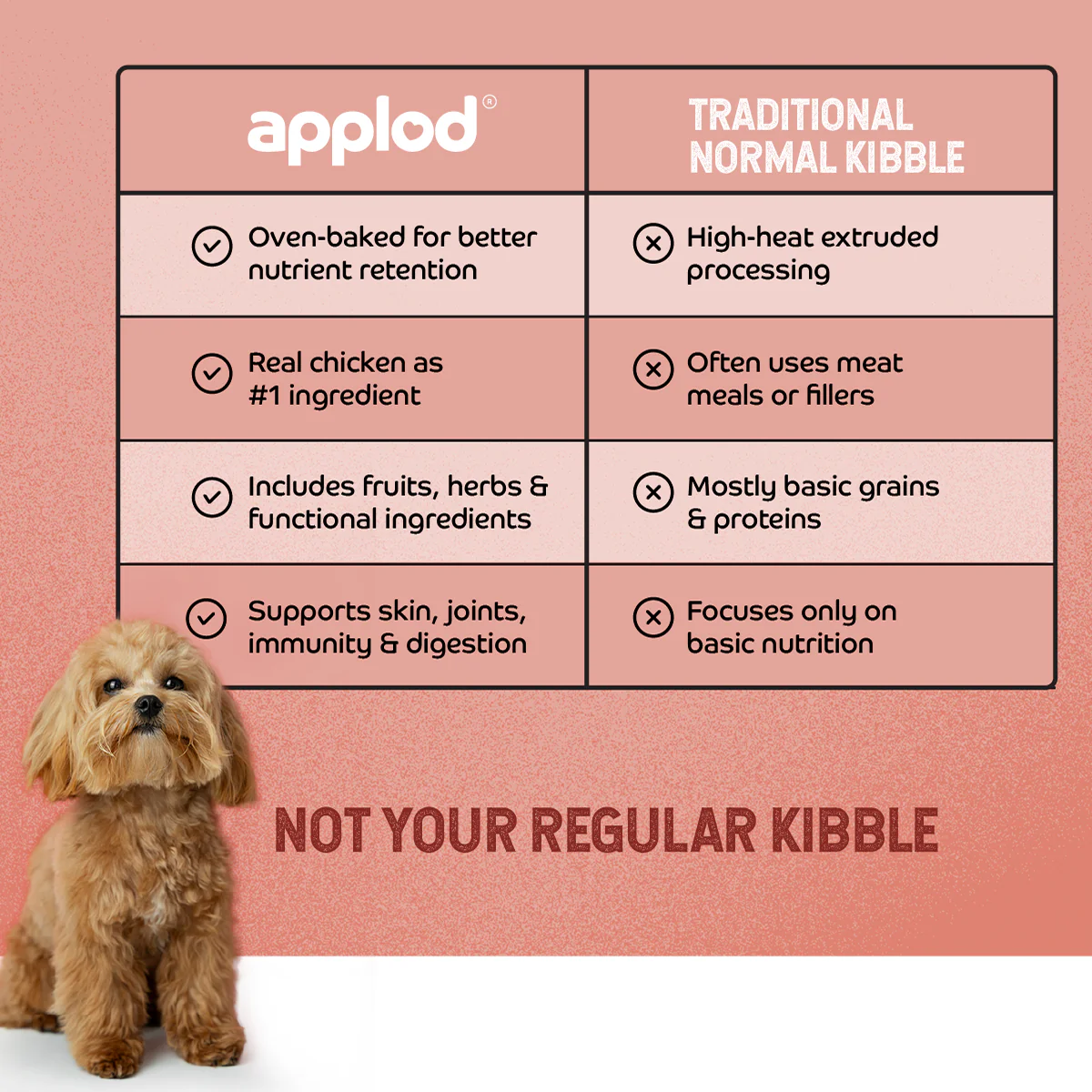 Applod Chicken & Vegetables with Apple & Pomegranate Dry Dog Food for Puppies - Image 5