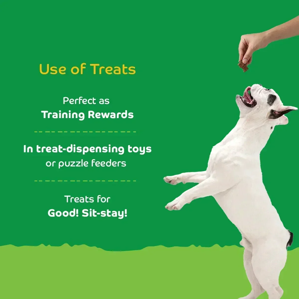 Applod Pumpkin Dog Biscuit with Turmeric - Image 5