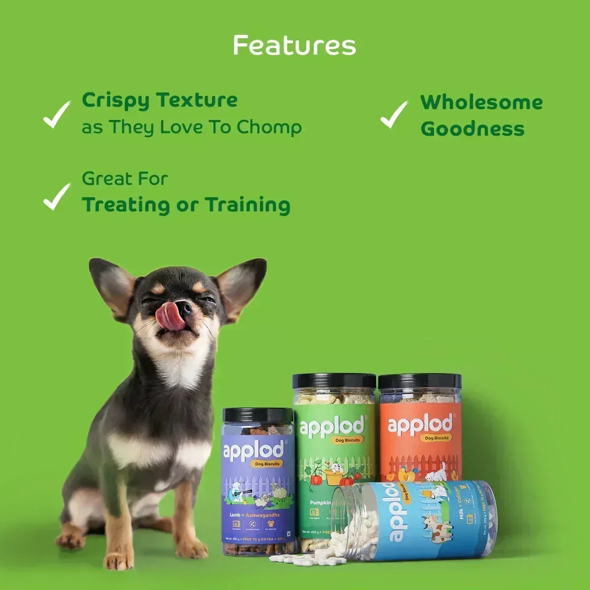 Applod Pumpkin Dog Biscuit with Turmeric - Image 7