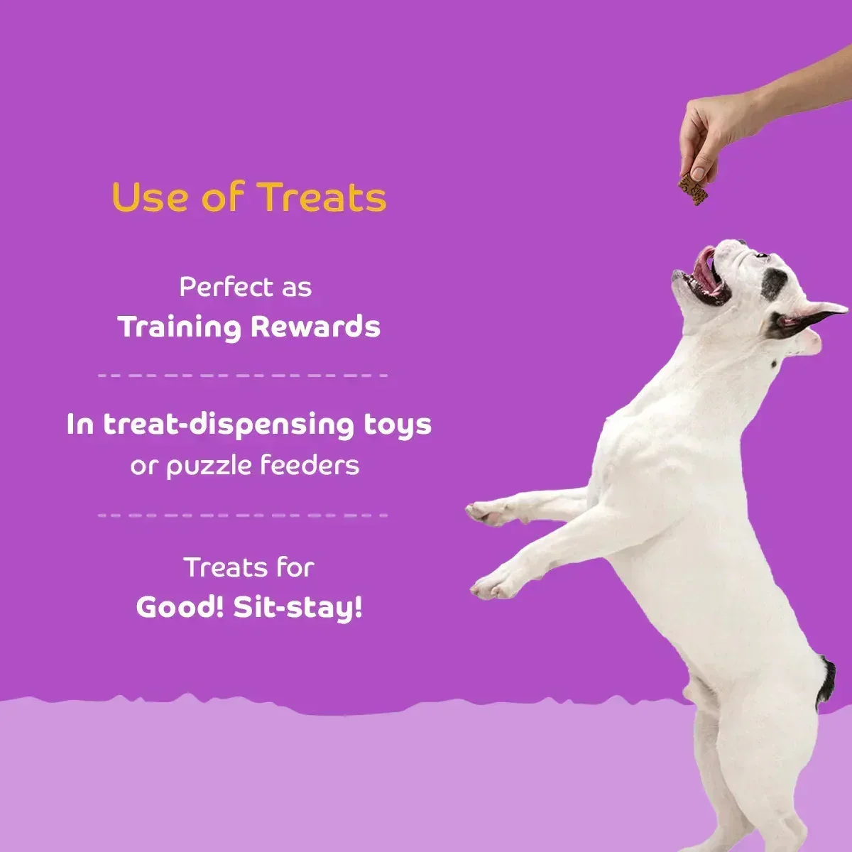 Applod Real Chicken Dog Biscuit - Image 4