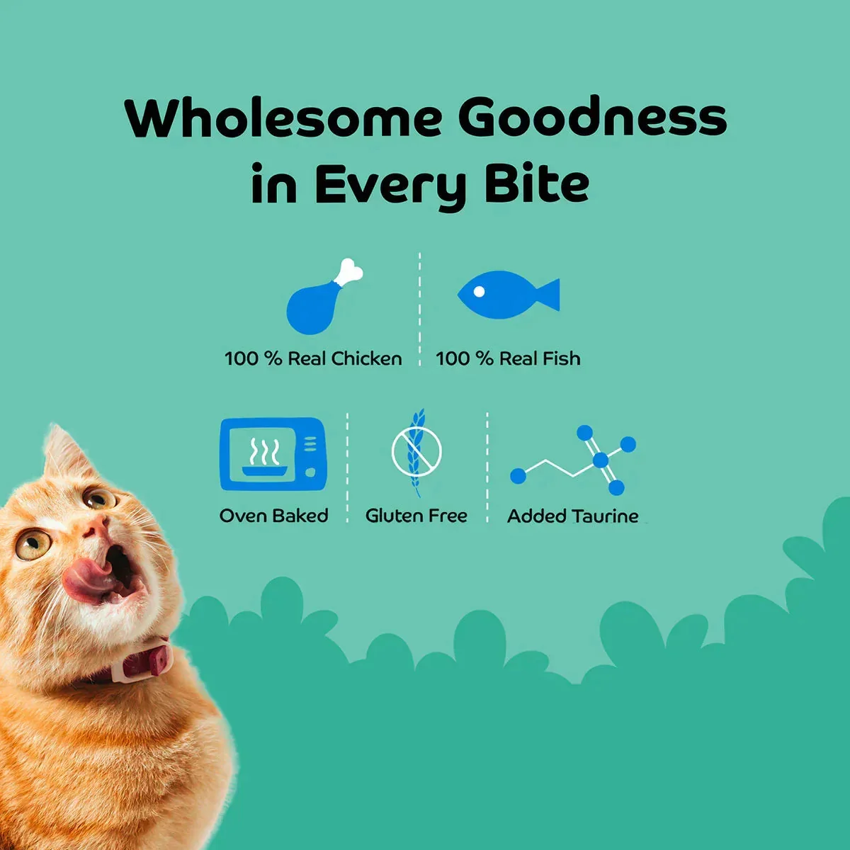 Applod Shrimp with Pumpkin Cat Treat - 35g - Image 3