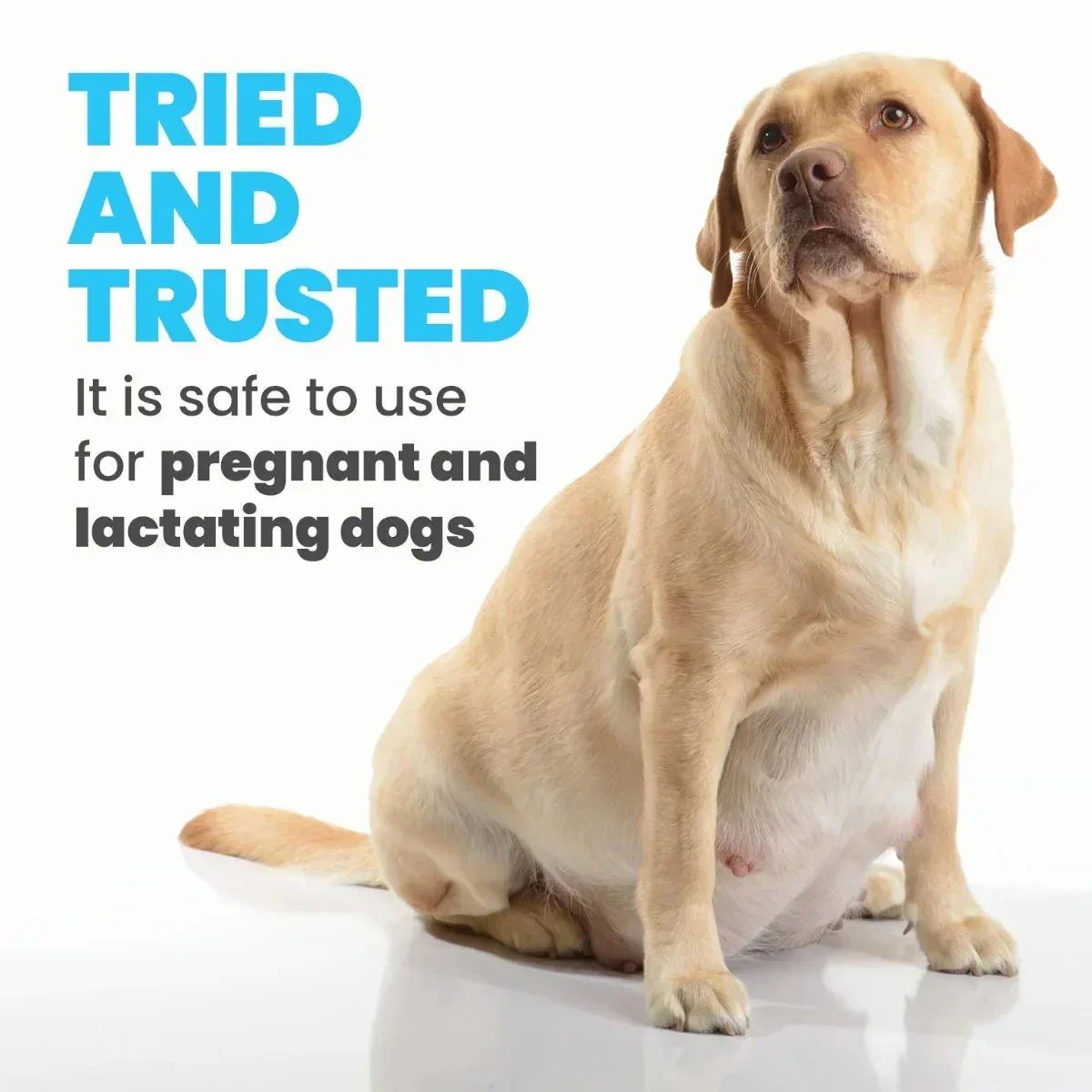 Arden Grange Puppy/Junior Fresh Chicken Dry Dog Food - Small/Medium Breed - Image 3