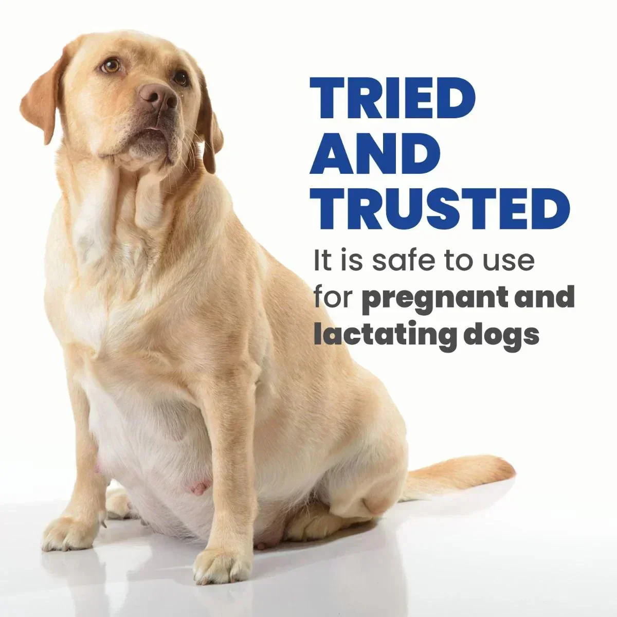 Arden Grange Puppy/Junior Fresh Chicken & Rice Dry Dog Food - Large Breed - Image 3