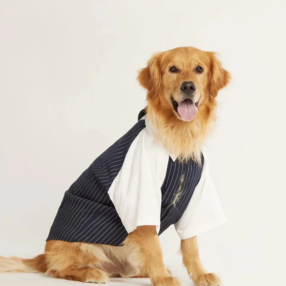 beboji Classy Gentleman Black Stripe Dog Shirt with Bow - Image 3