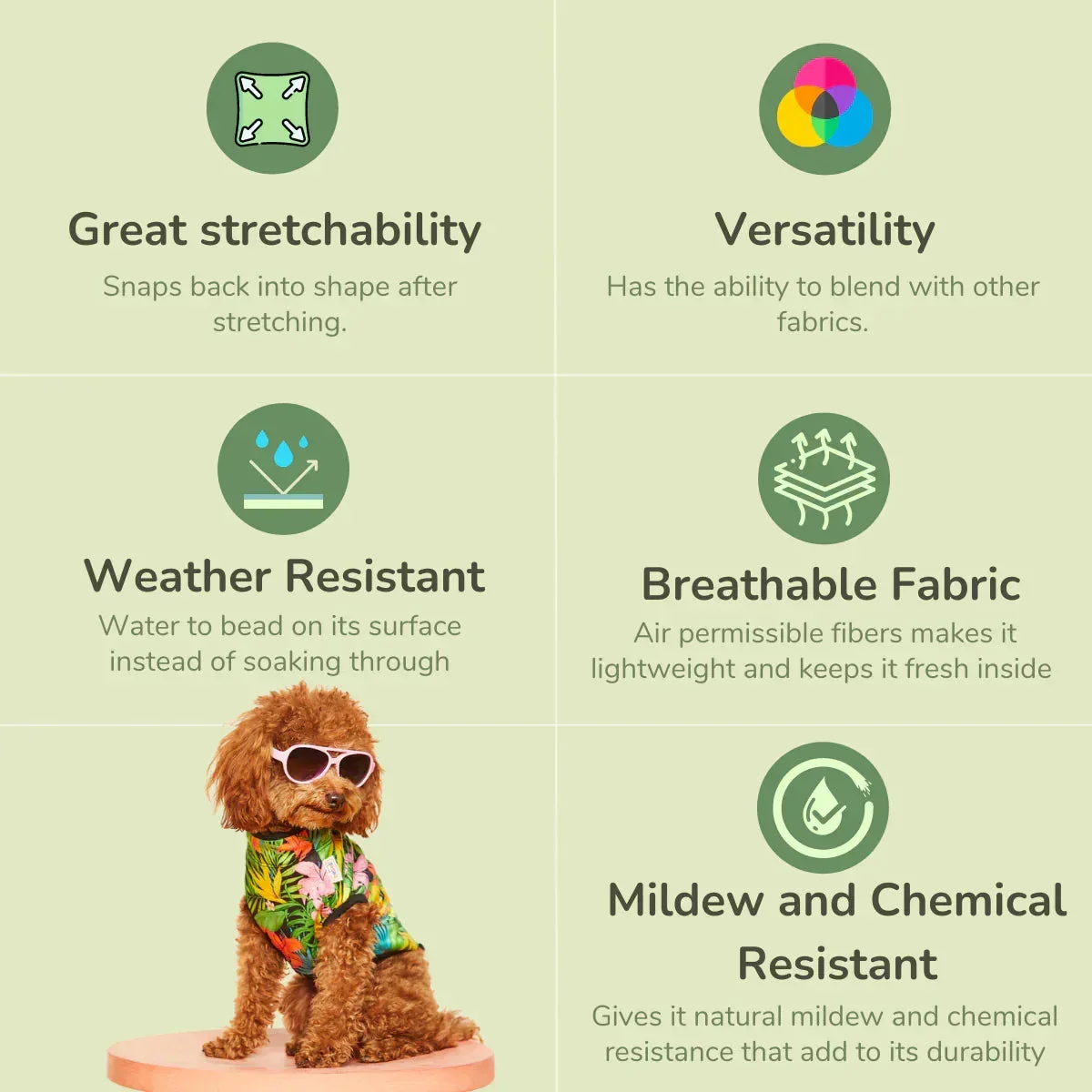 beboji Hawaiian Heart Dog Tshirt - 4XL - Image 6