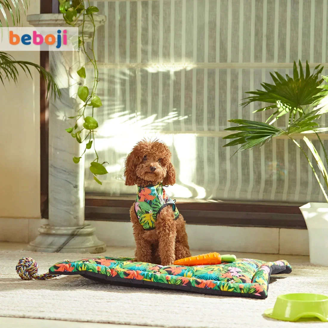 beboji Hawaiian Heart Dog Tshirt - 4XL - Image 7