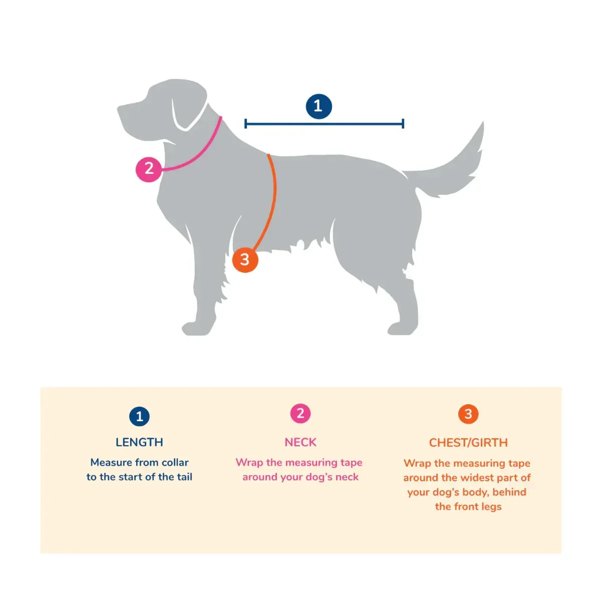 beboji Space Ship Dog Shirt - Image 5