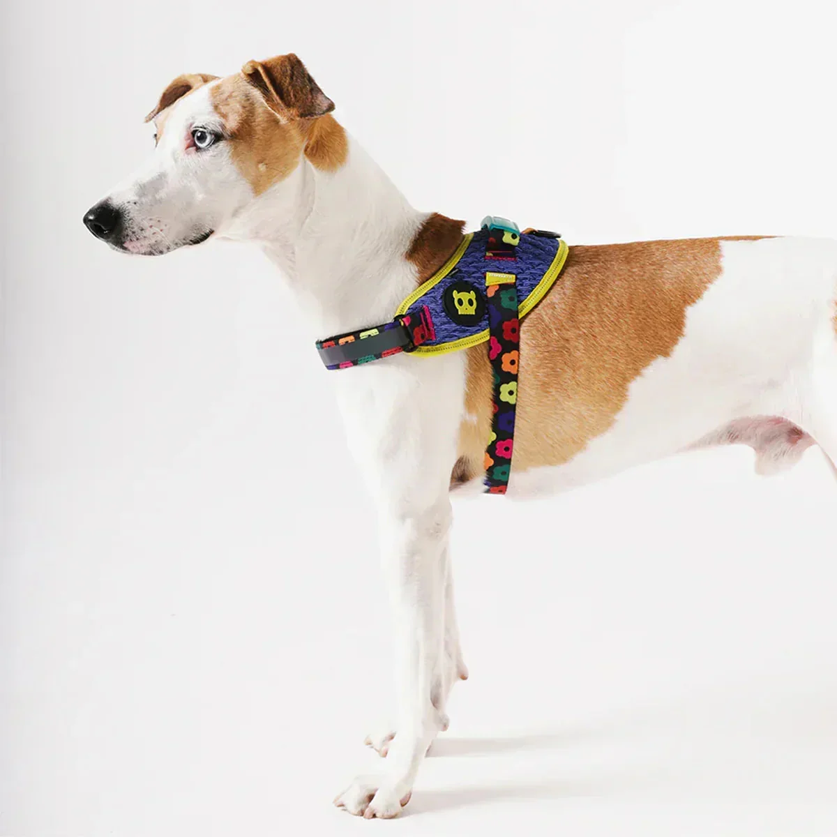 FARM Rio x Zee Dog Samba Flyharness - Image 5