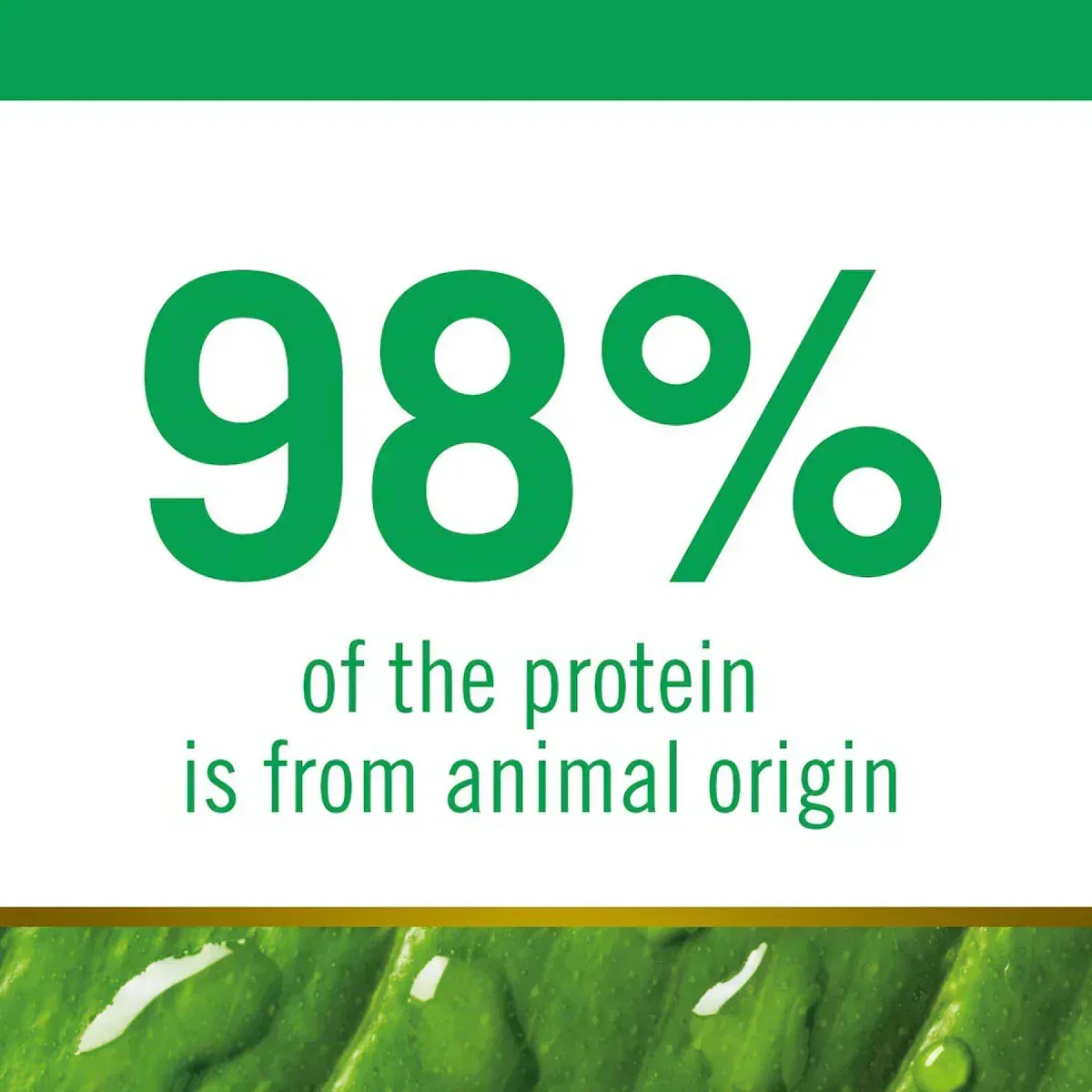 Farmina N&D Grain Free Prime Chicken & Pomegranate Dry Kitten Food - Image 7