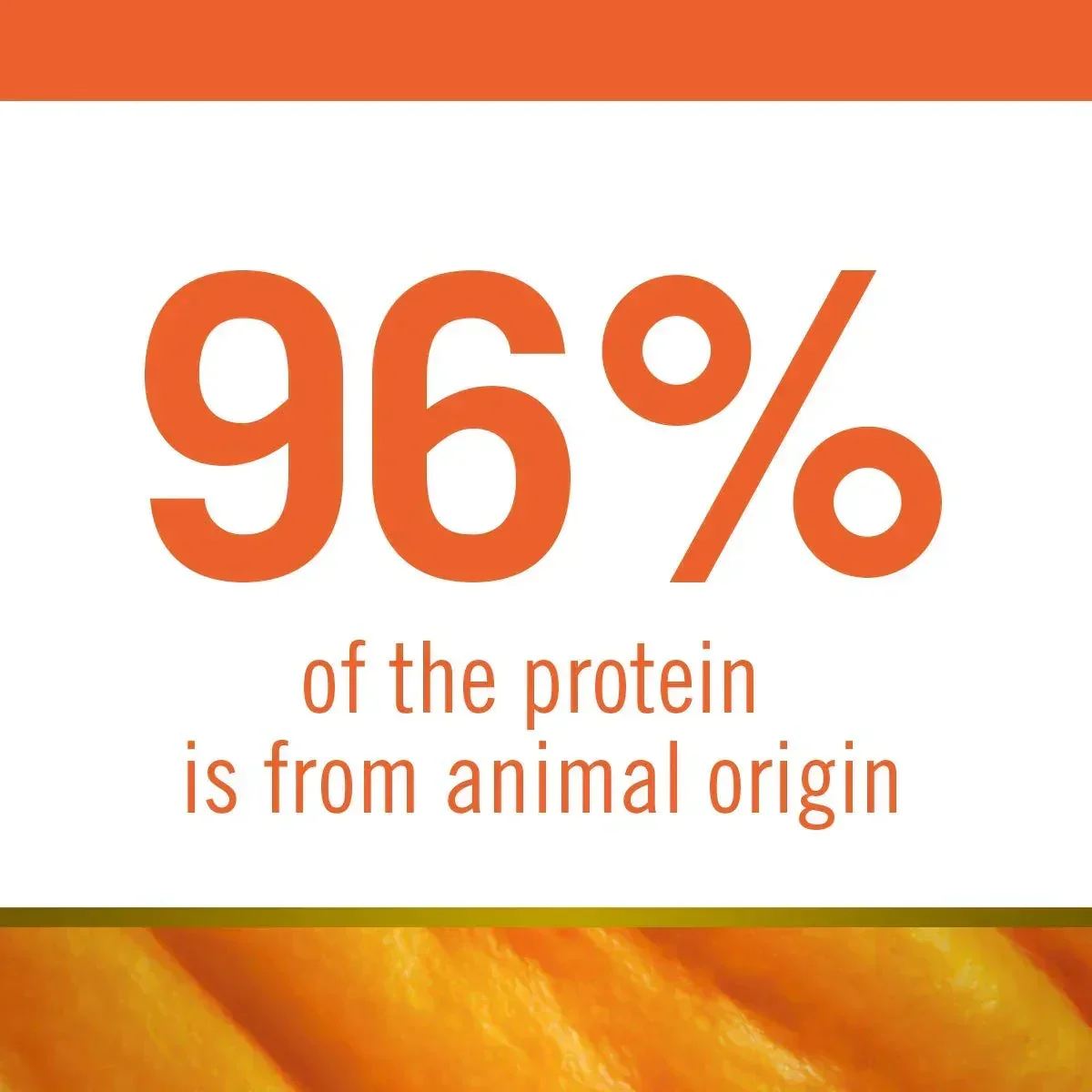 Farmina N&D Grain Free Pumpkin Lamb & Blueberry Dry Dog Food - Mini Breed Puppy - Image 6