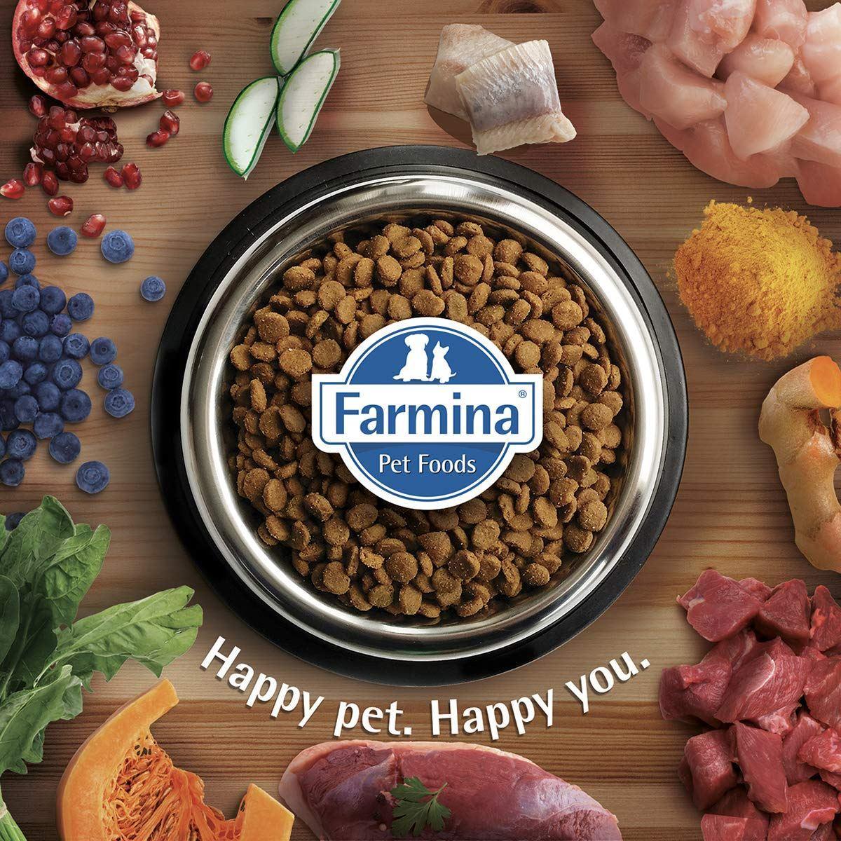Farmina N&D Grain Free Pumpkin Lamb & Blueberry Dry Dog Food - Mini Breed Puppy - Image 8