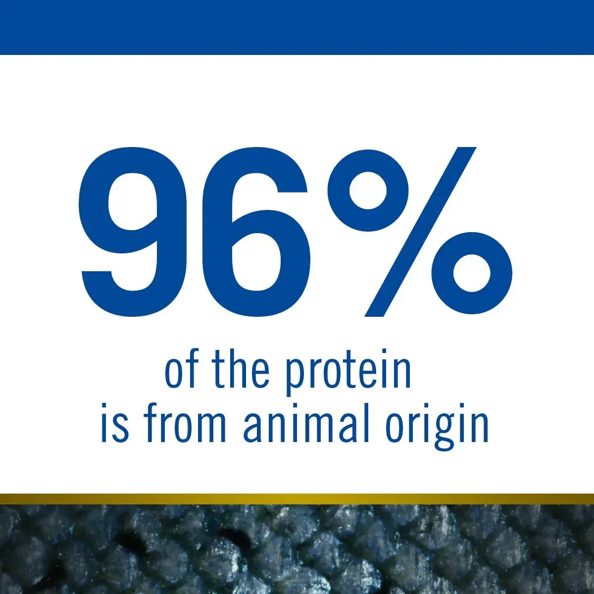 FARMINA N&D Ocean COD Pumpkin & Cantaloupe Melon Puppy Dry Food - Medium & Maxi Breed - 2.5 kg - Image 5