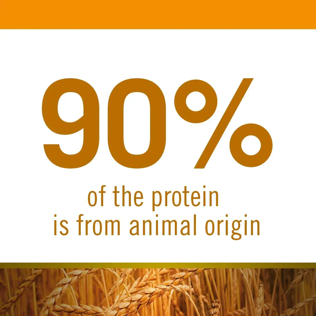 Farmina N& D Ancestral Grain Selection Chicken & Pomegranate Medium & Maxi Breed Adult Dry Dog Food - 12 + 3 kg - Image 6