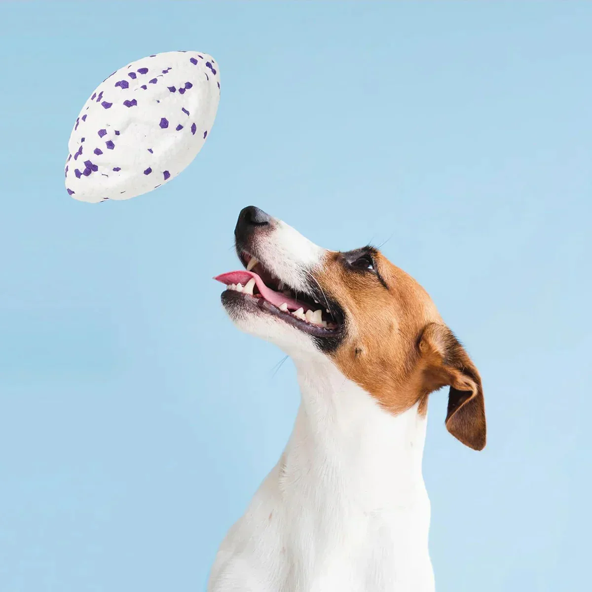 FOFOS ETPU Rugby Ball Fetch Dog Toy -White - Image 8