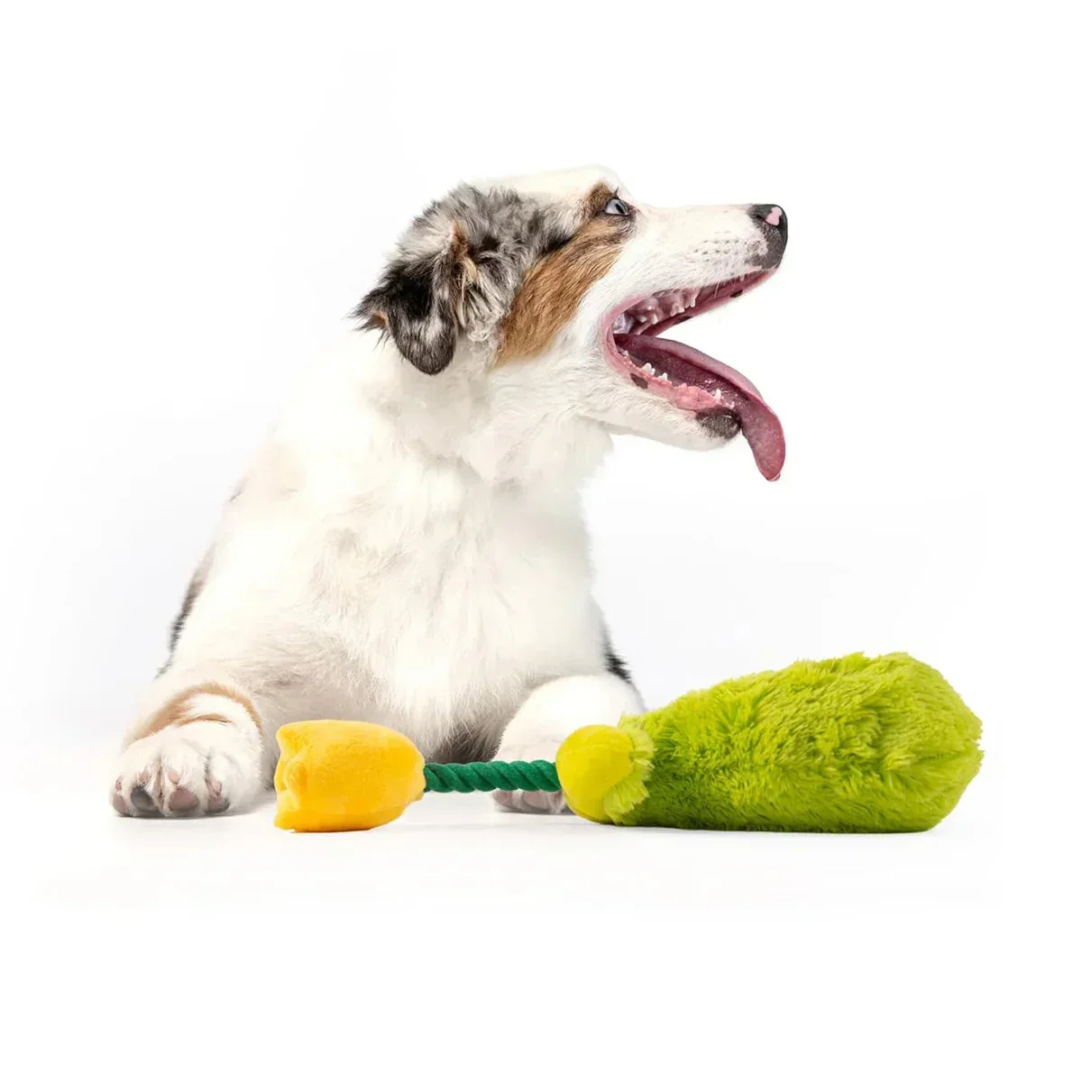 FOFOS Garden Tulip Plush Dog Toy - Image 3