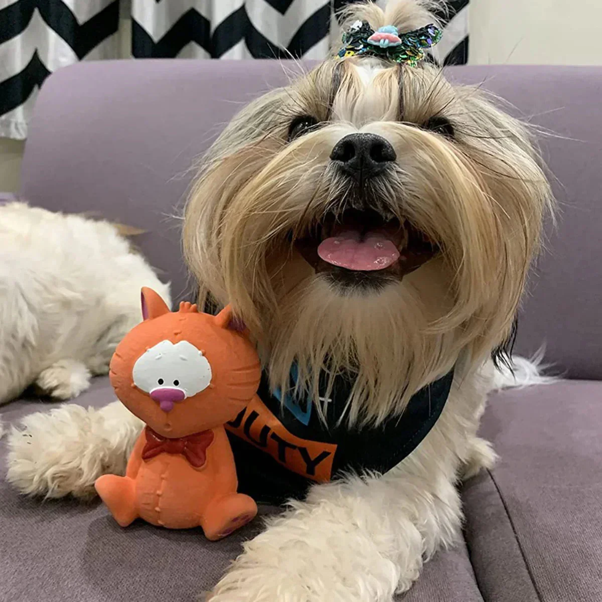 FOFOS Latex Bi Cat Squeaky Dog Toy - Small - Image 5