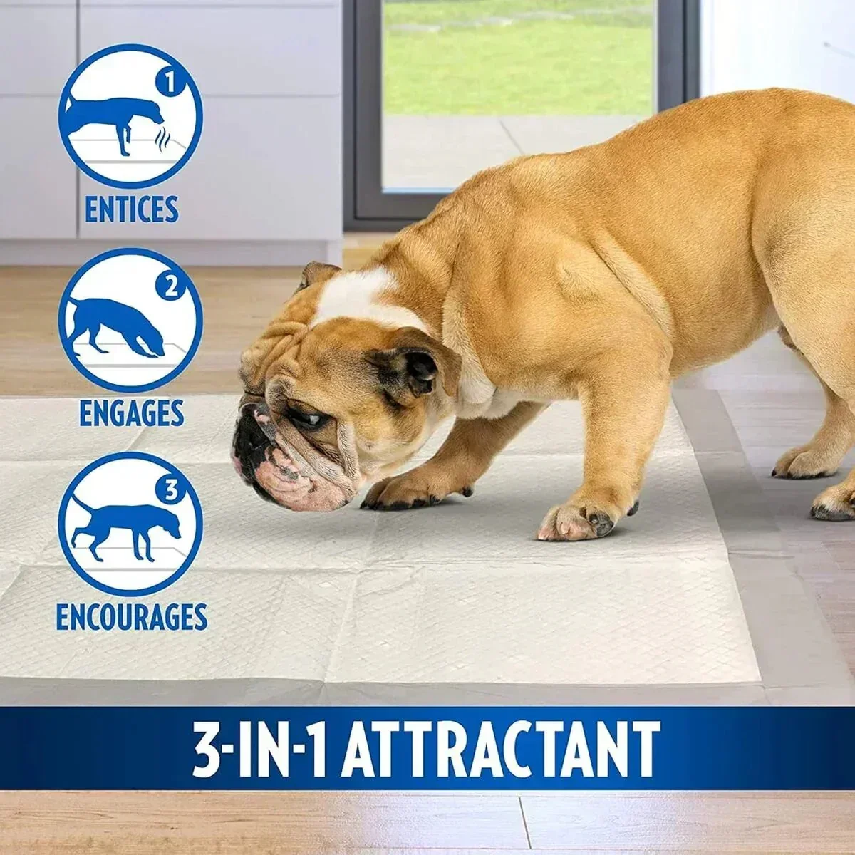 Out Pet Care Moisture Lock Training Pads for Dogs - 30 Pads - 51x56cm - Image 3