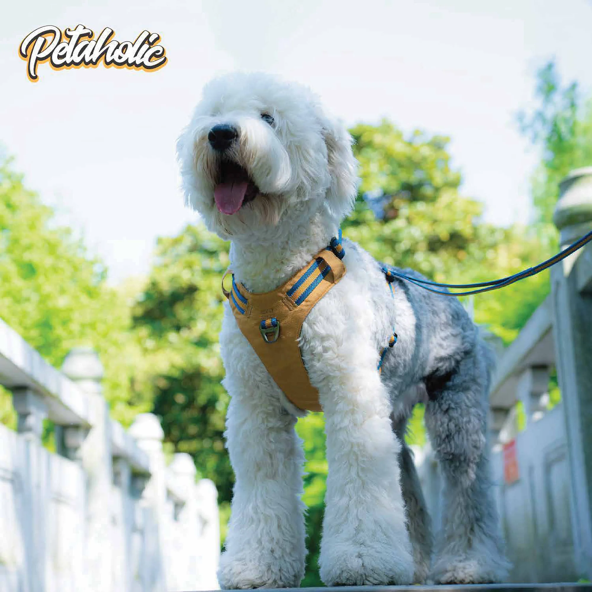 Petaholic  Tracker  Series  Plateau Dog Harness - Mustard - Image 4