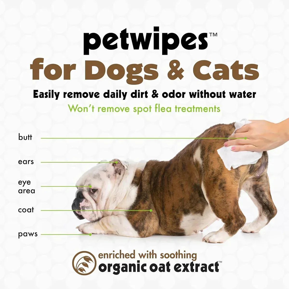 Petkin Oatmeal Mega Valu-Pak Pet Wipes - 125 Wipes - Image 3