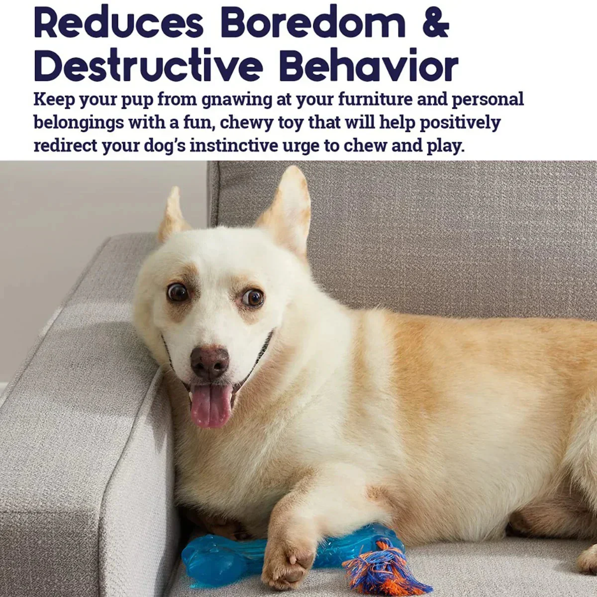 Petstages Orka Bone Dog Toy - Image 5