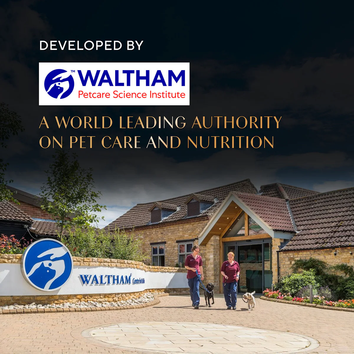 Sheba Maguro Selection Tuna & Prawn Flavour Cat Meaty Treat - 48 gm - Image 10