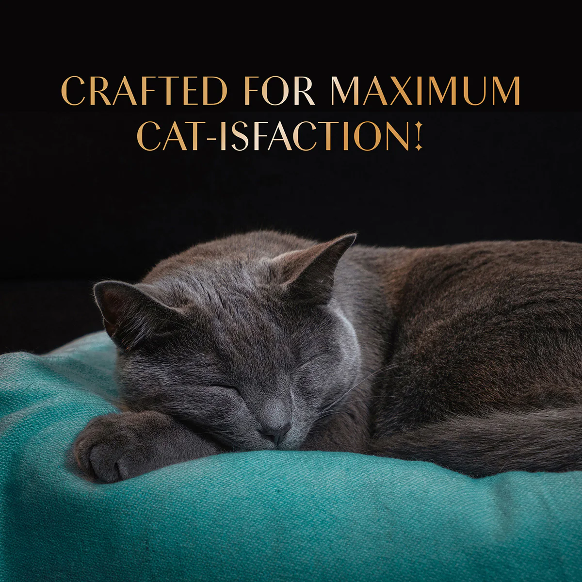 Sheba Maguro Selection Tuna & Prawn Flavour Cat Meaty Treat - 48 gm - Image 6