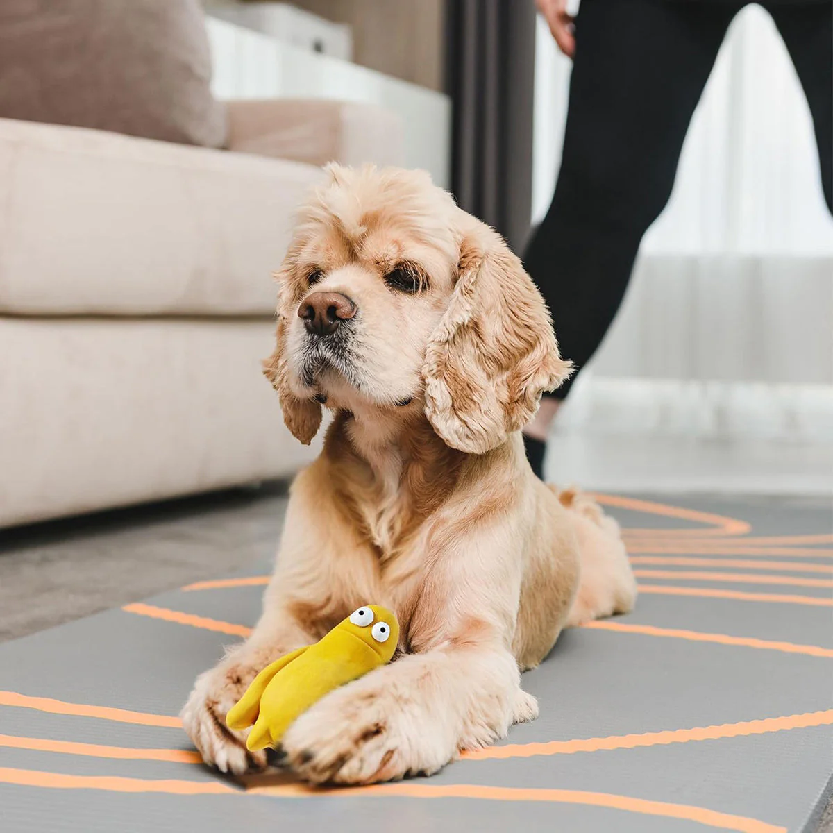 Squeeezys Latex Monster Brother Dog Toy - Yellow - Image 7