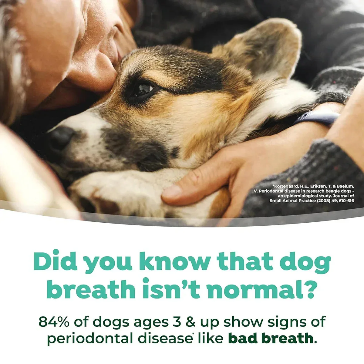 Tropiclean Fresh Breath Puppy Water Additive - 473ml - Image 6