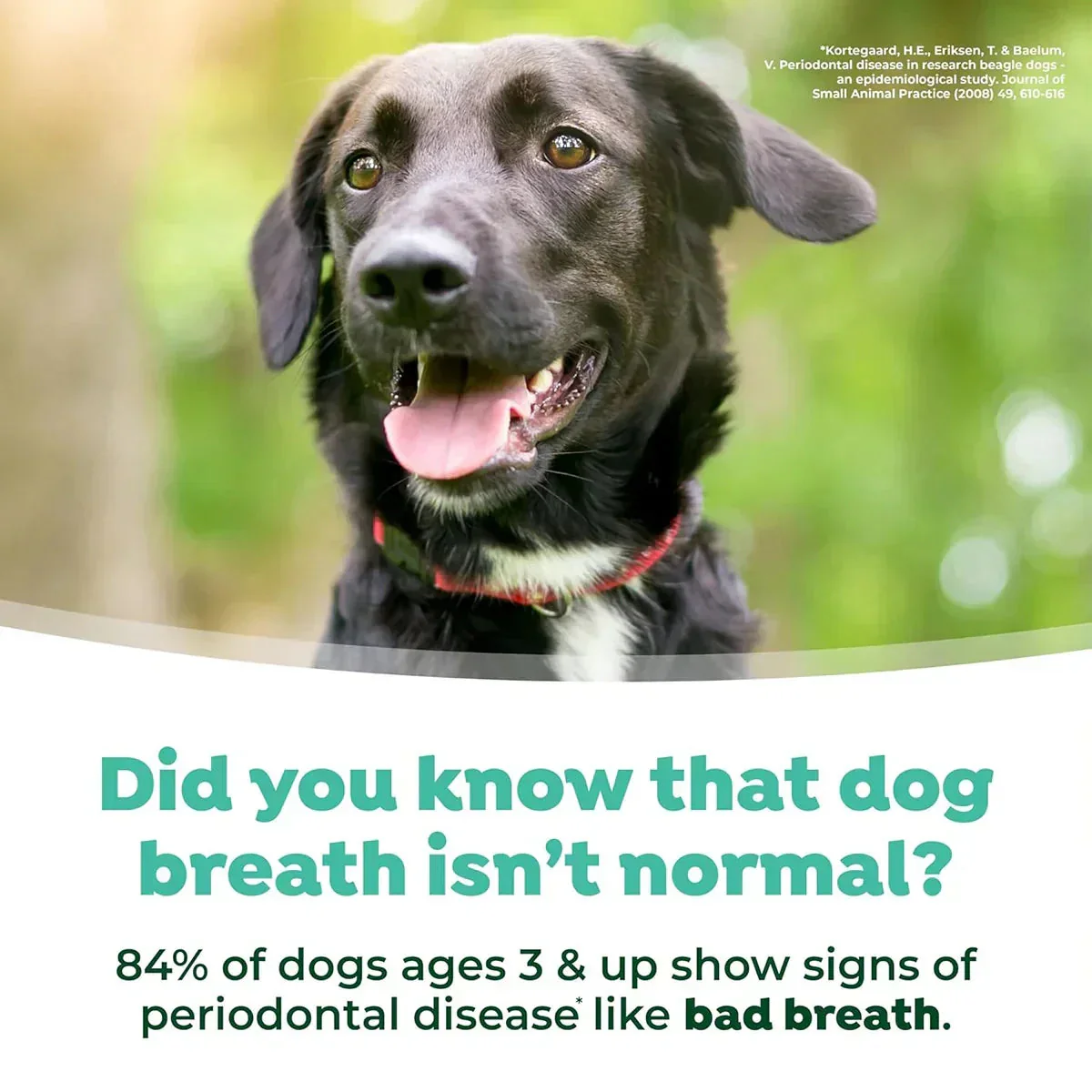 Tropiclean Fresh Breath Water Additive For Dog - 473ml - Image 6