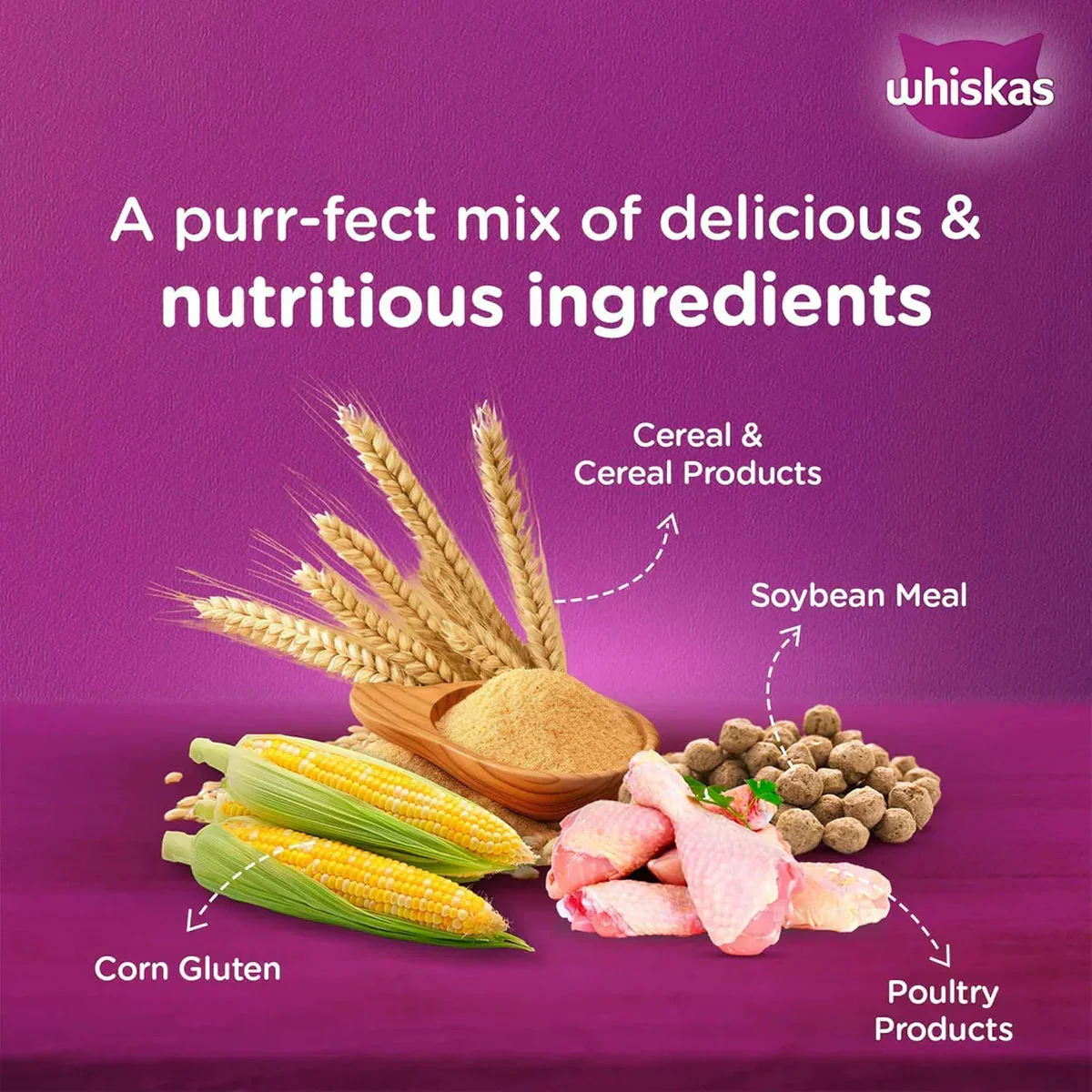 Whiskas Chicken Dry Cat Food - All Breed Adult (+1 year) - Image 4