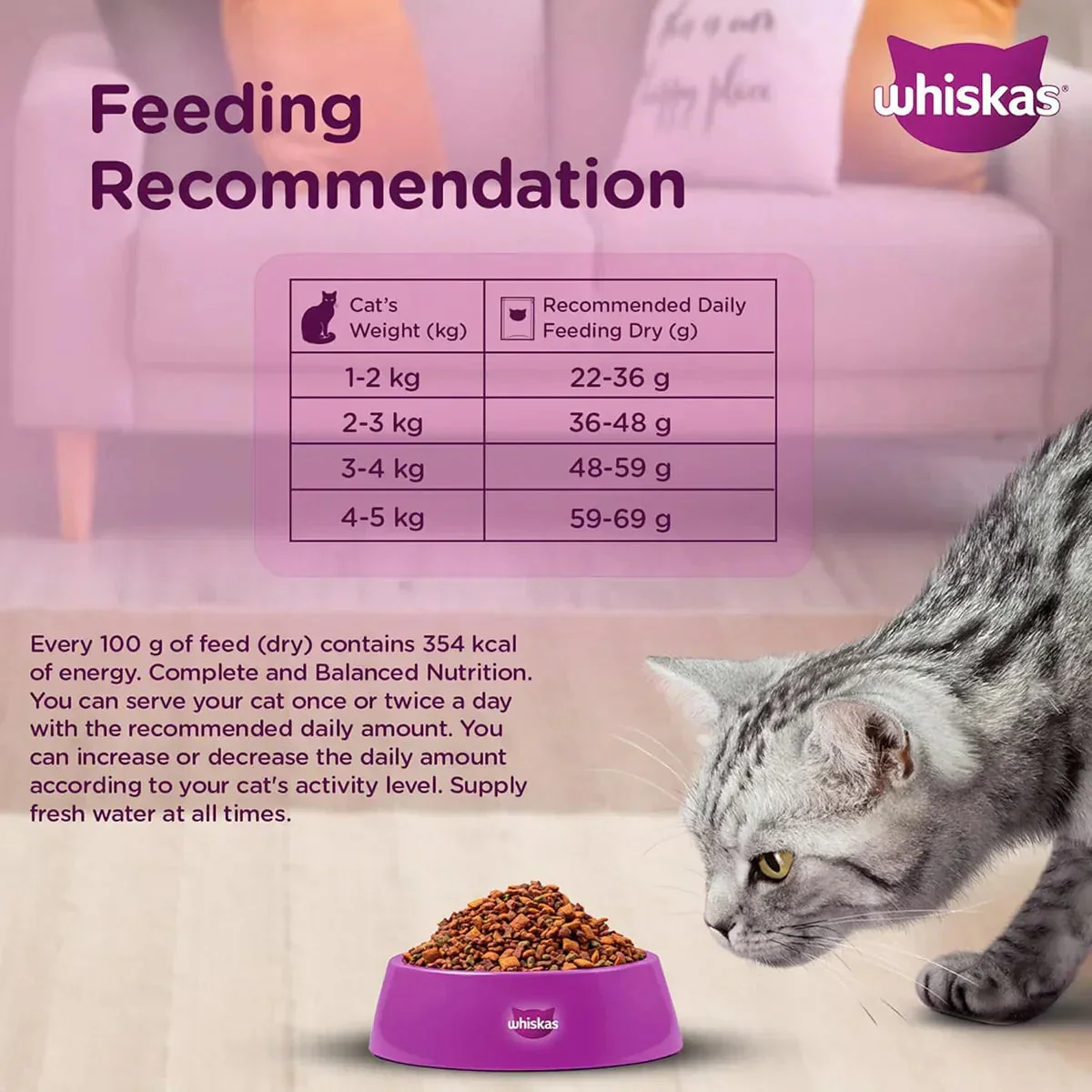 Whiskas Chicken Dry Cat Food - All Breed Adult (+1 year) - Image 5