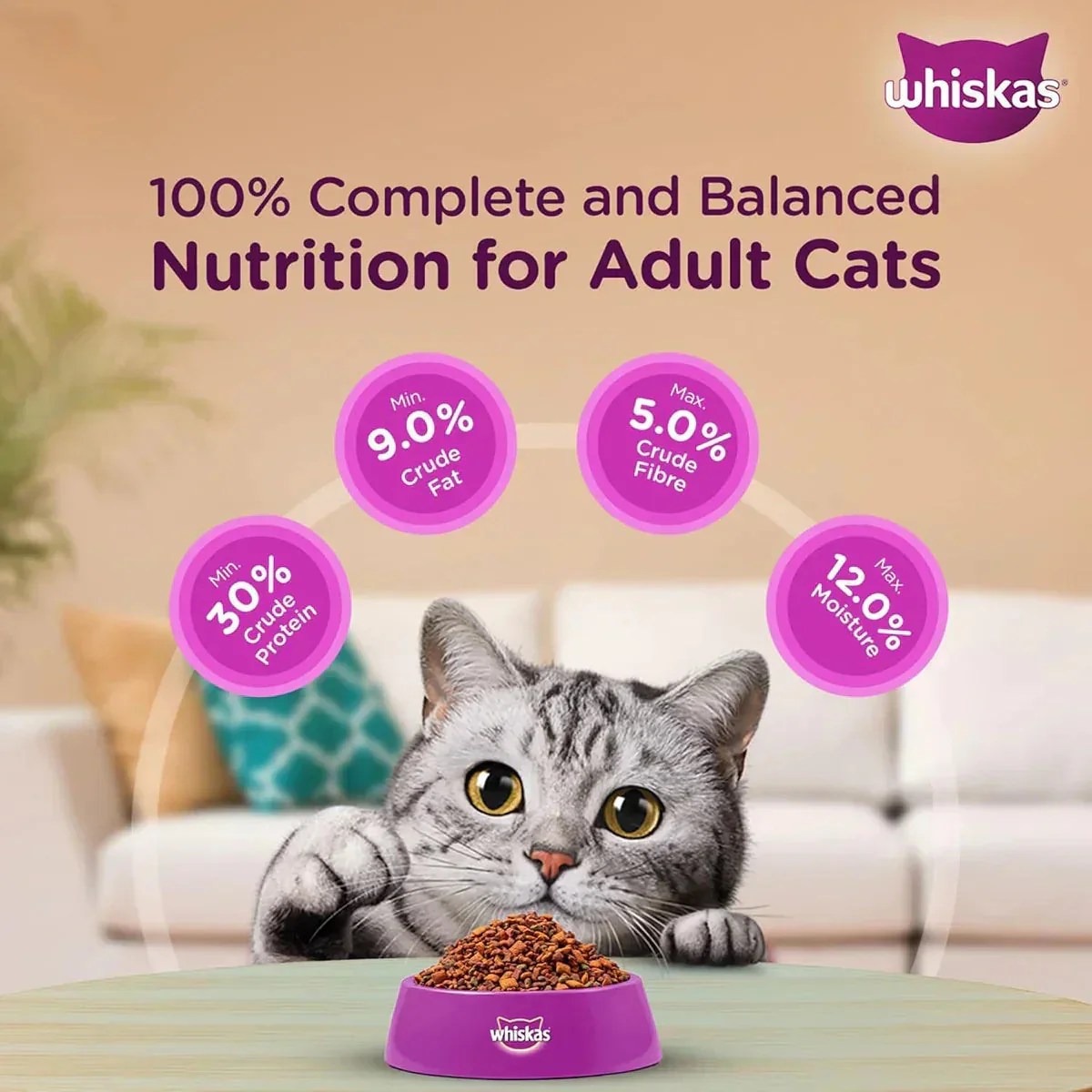 Whiskas Chicken Dry Cat Food - All Breed Adult (+1 year) - Image 7
