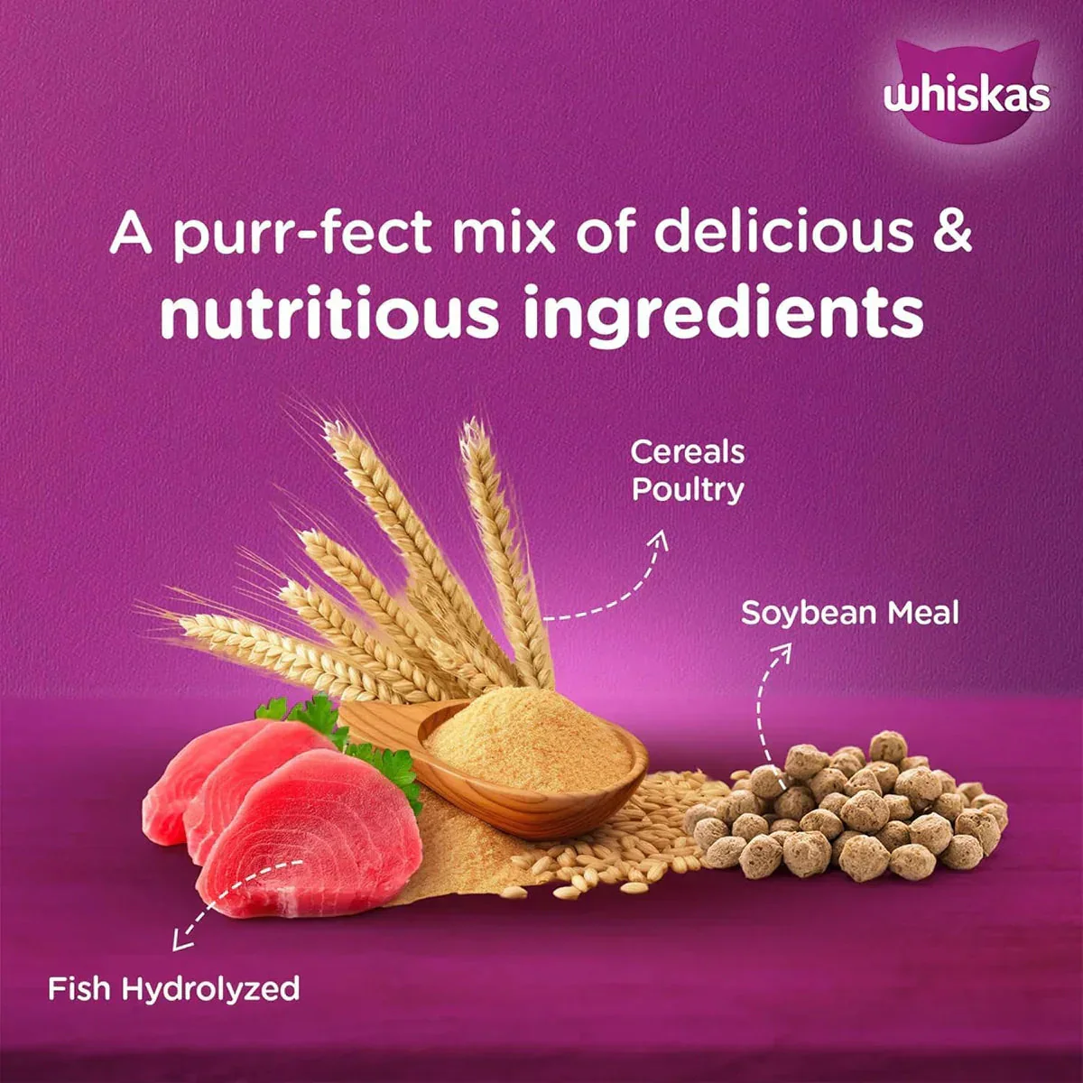 Whiskas Kitten (2-12 months) Mackerel Dry Food - 1.1 kg - Image 4