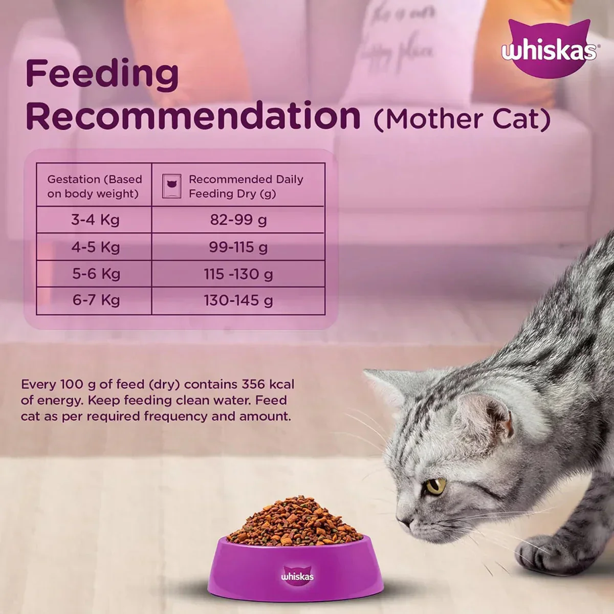 Whiskas Kitten (2-12 months) Mackerel Dry Food - 1.1 kg - Image 6