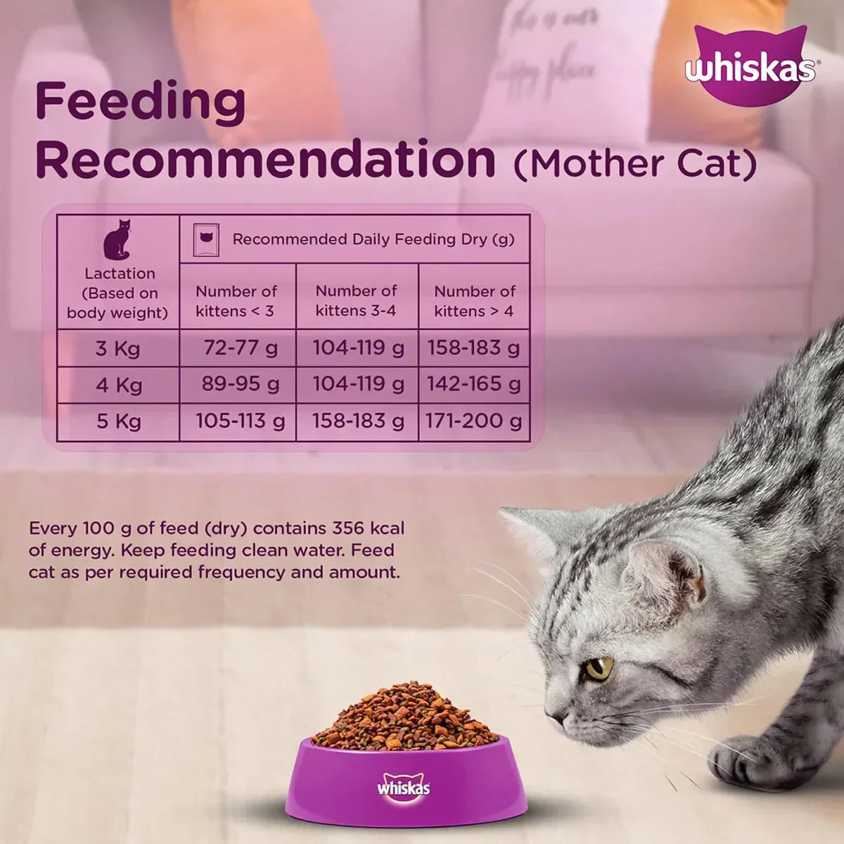 Whiskas Kitten (2-12 months) Mackerel Dry Food - 1.1 kg - Image 7