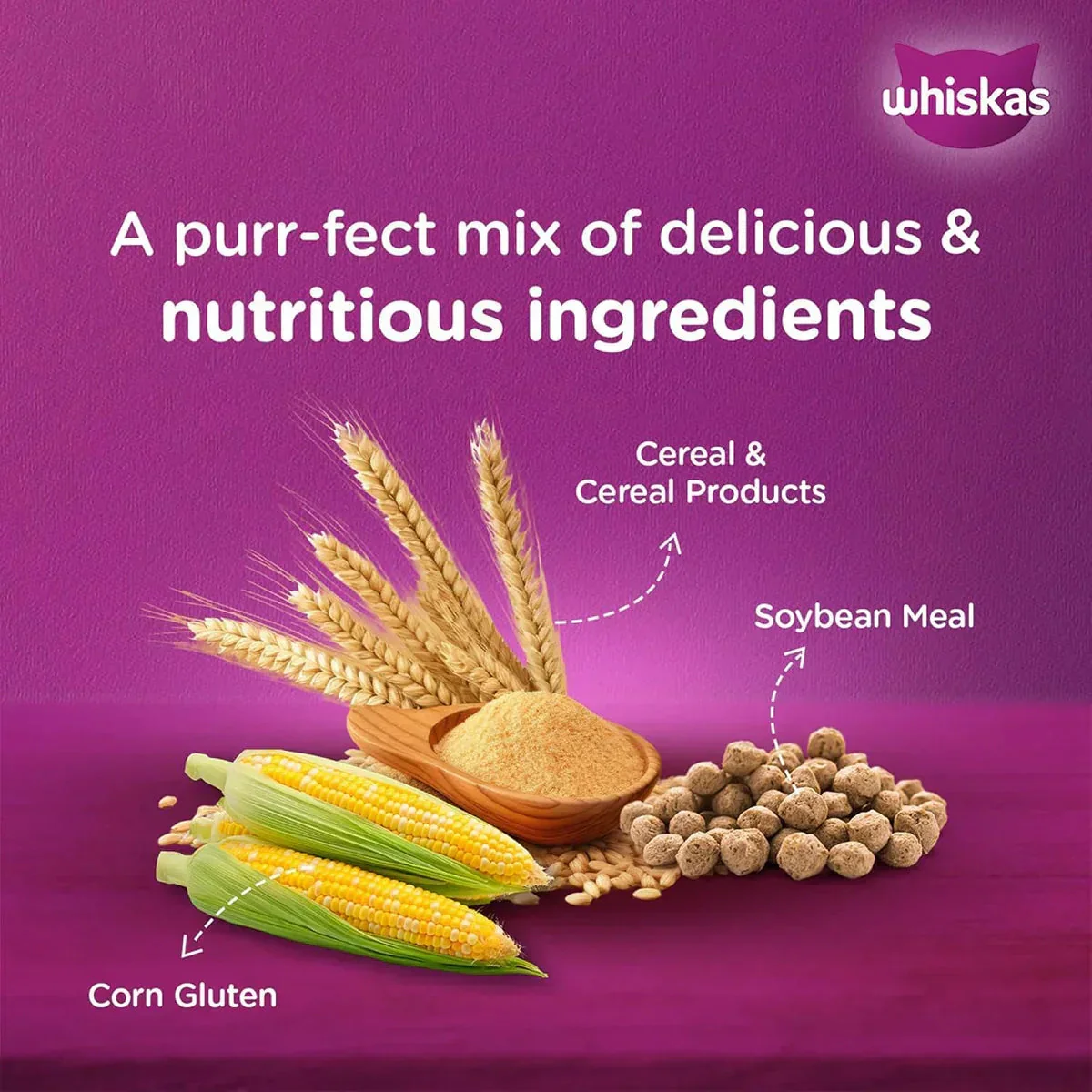 Whiskas Ocean Fish Dry Cat Food - All Breed Kitten (2-12 months) - Image 4