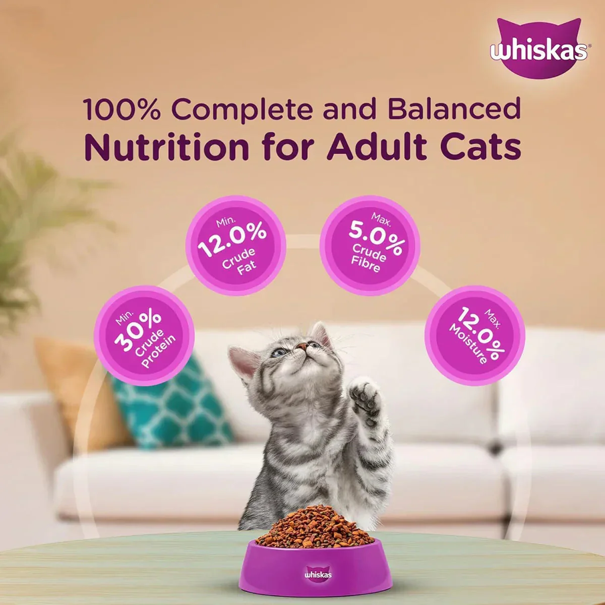 Whiskas Ocean Fish Dry Cat Food - All Breed Kitten (2-12 months) - Image 7