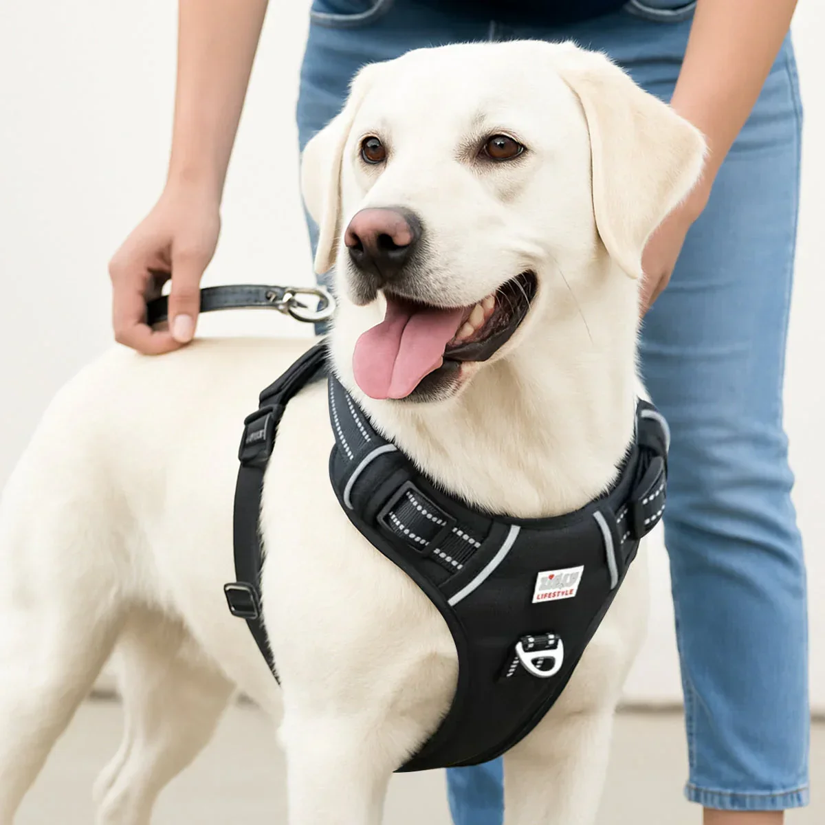 ZL Shadow Guard Adjustable Padded Dog Harness Black - Image 3