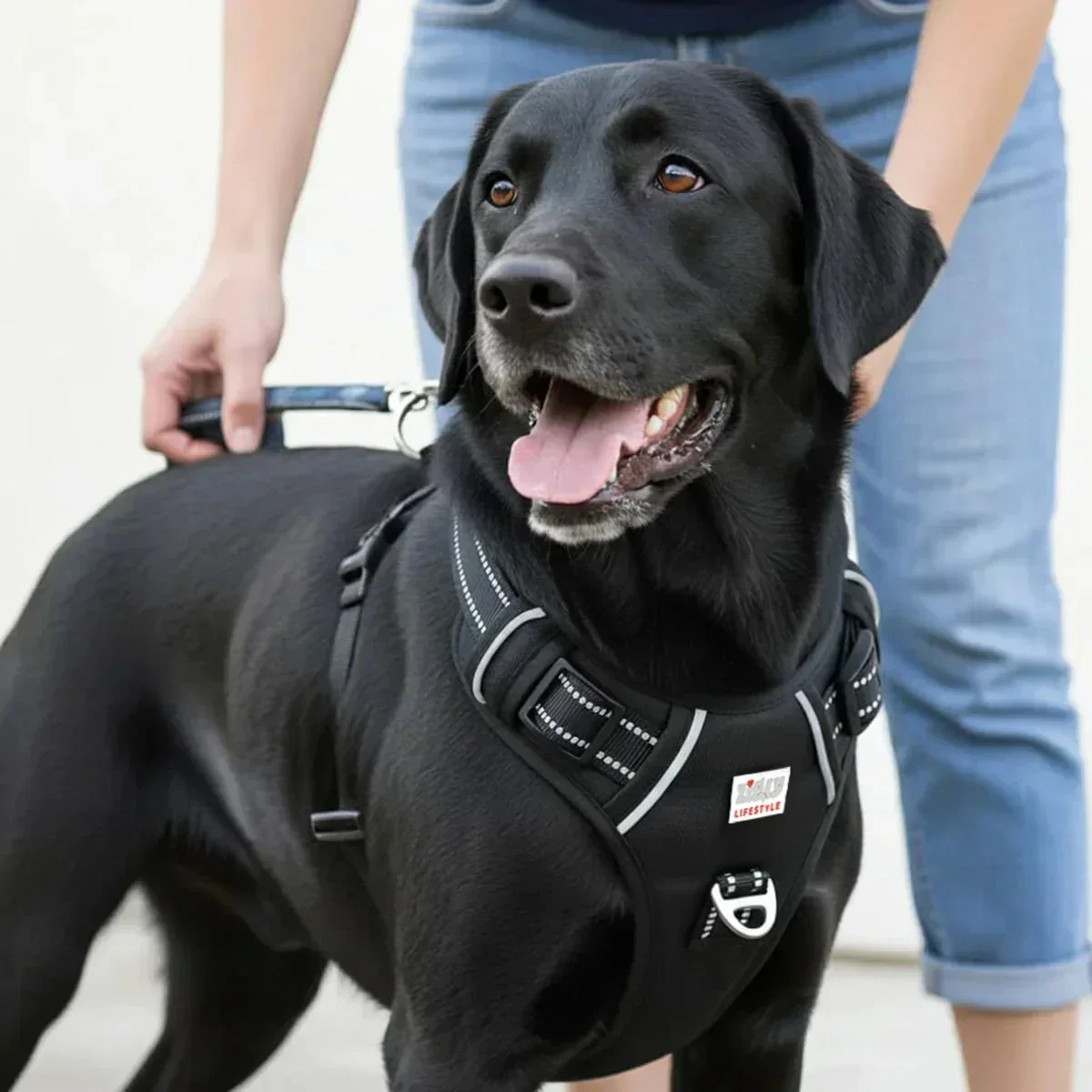 ZL Shadow Guard Adjustable Padded Dog Harness Black - Image 5