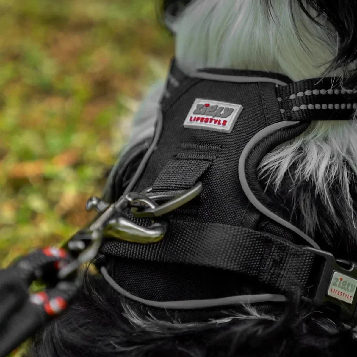 ZL Shadow Guard Adjustable Padded Dog Harness Black - Image 6