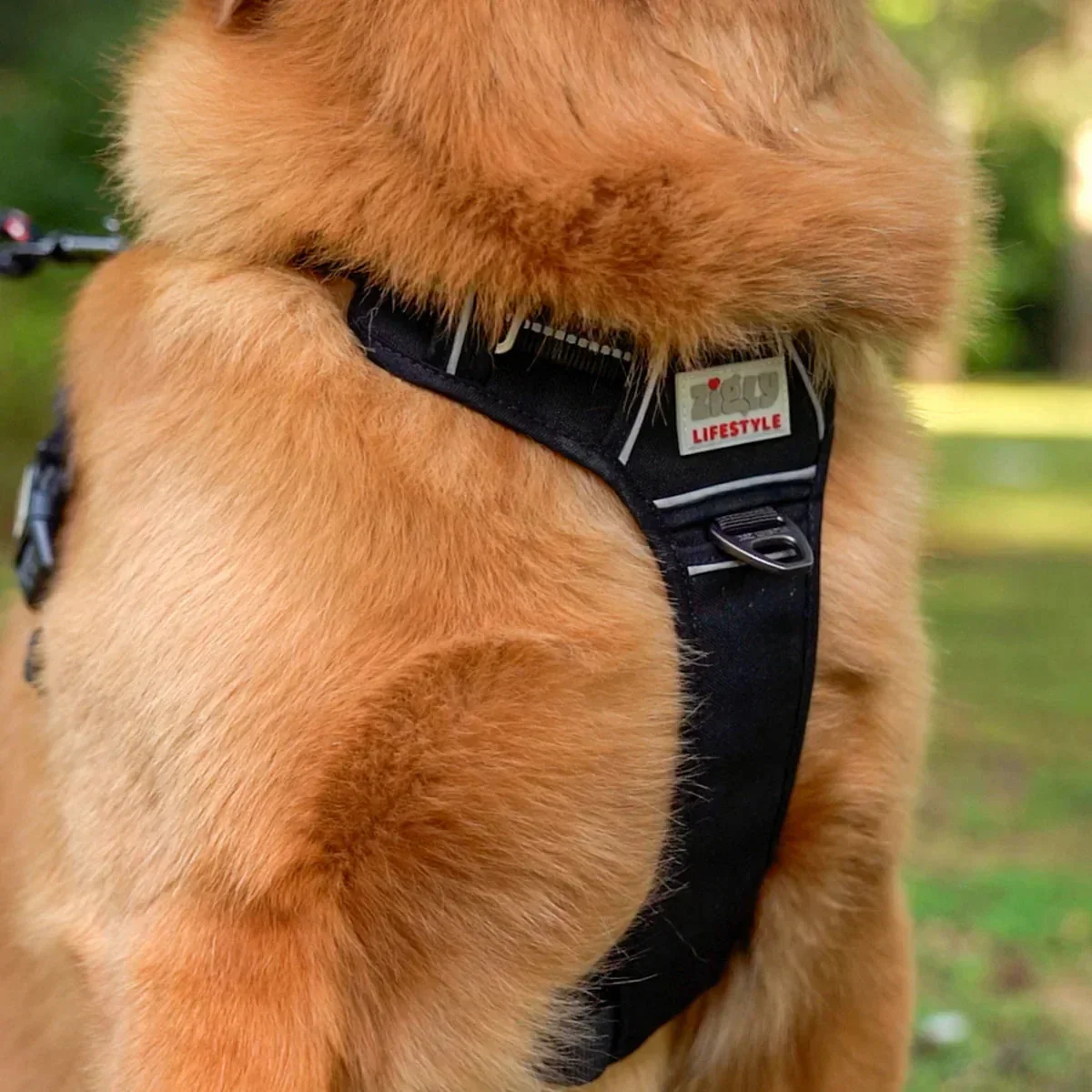 ZL Shadow Guard Adjustable Padded Dog Harness Black - Image 7