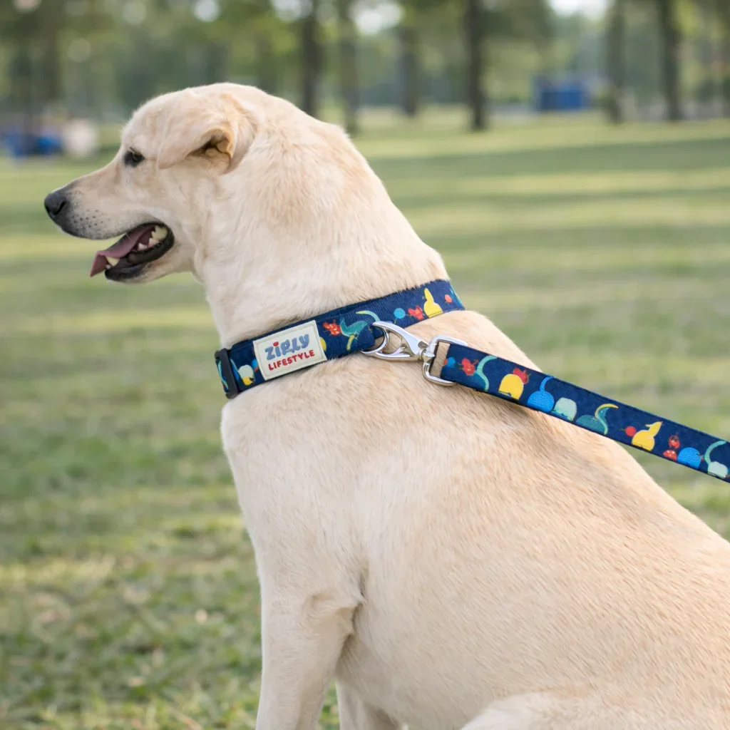 Zigly Lifestyle Tropical Tails Dog Leash - Image 3