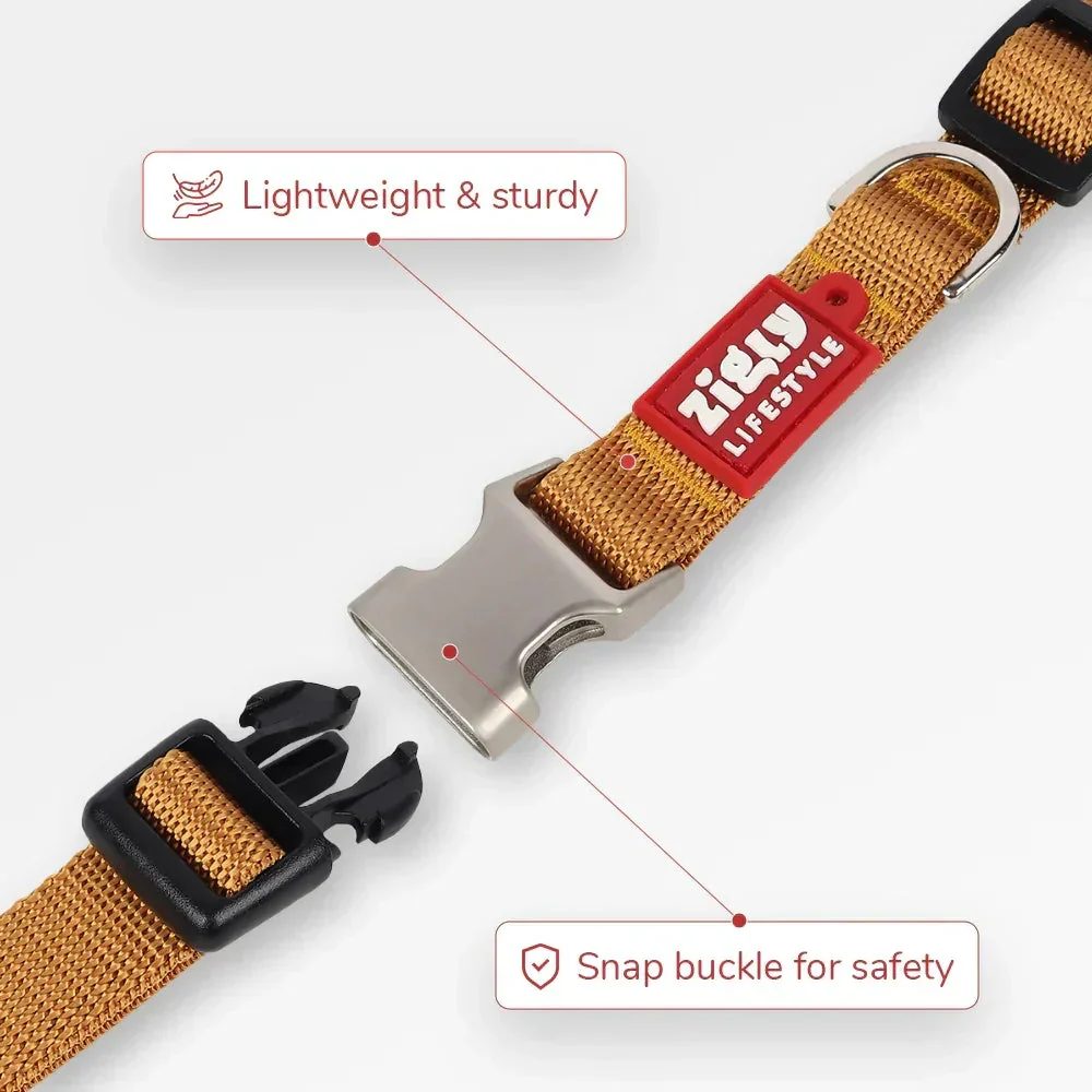 Zl Classic Gold Dog Collar - Image 4