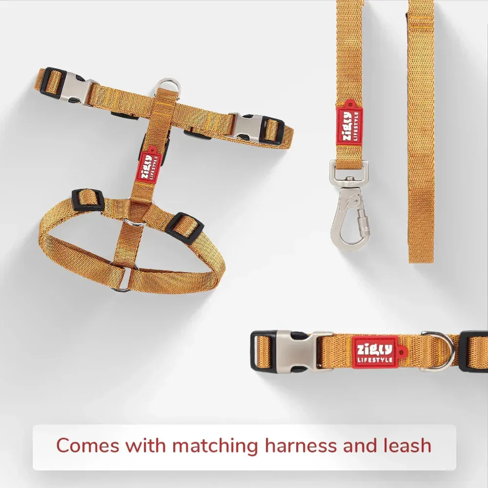 Zl Classic Gold Dog Collar - Image 6