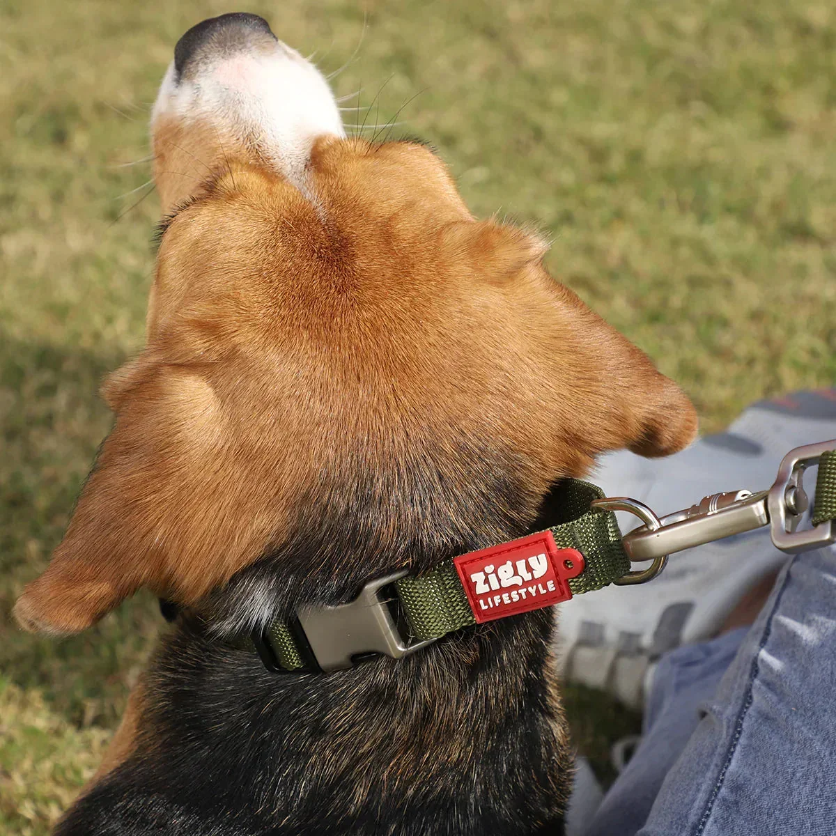 ZL Classic Olive Green Dog Collar - Image 7