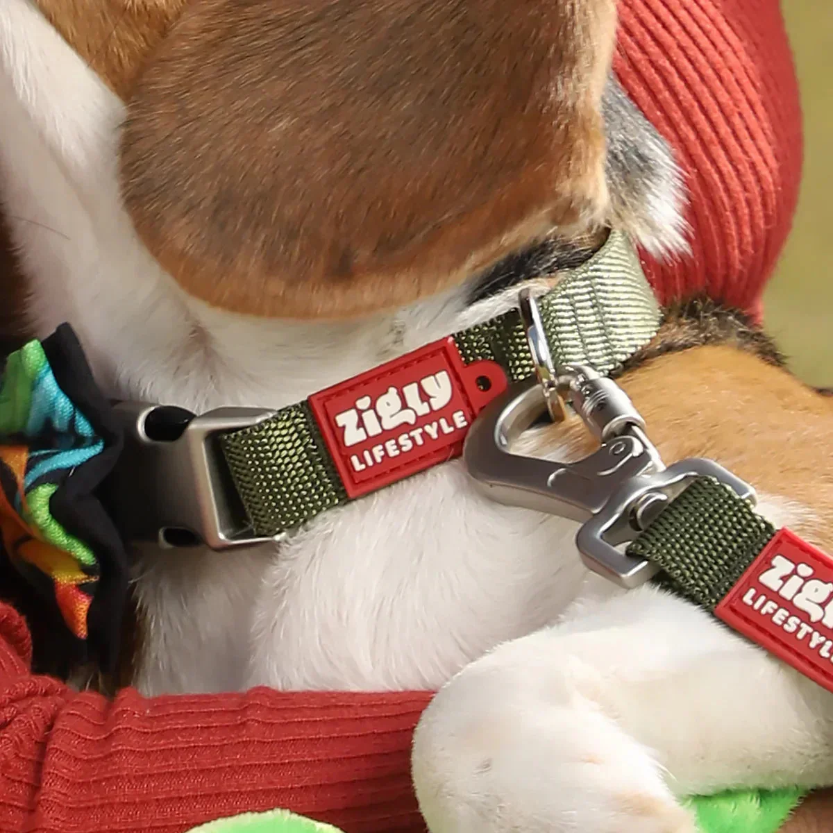 ZL Classic Olive Green Dog Collar - Image 8