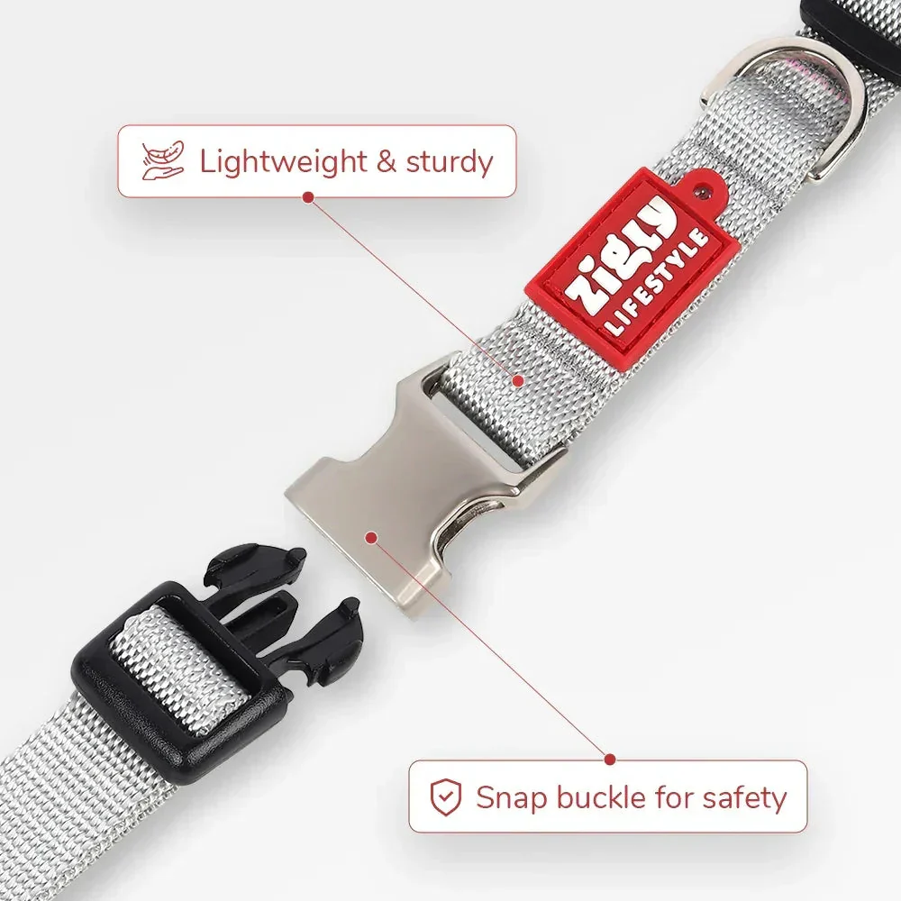 Zl Classic Silver Dog Collar - Image 3